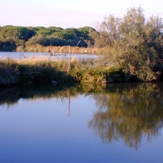 Parco del Delta 